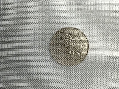 40目不锈钢筛网