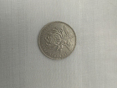 80目不锈钢筛网