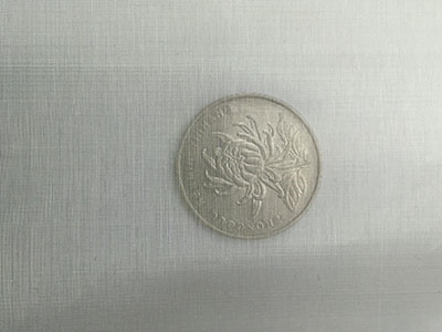 180目不锈钢筛网