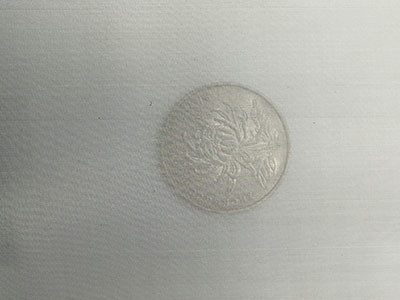 300目不锈钢筛网